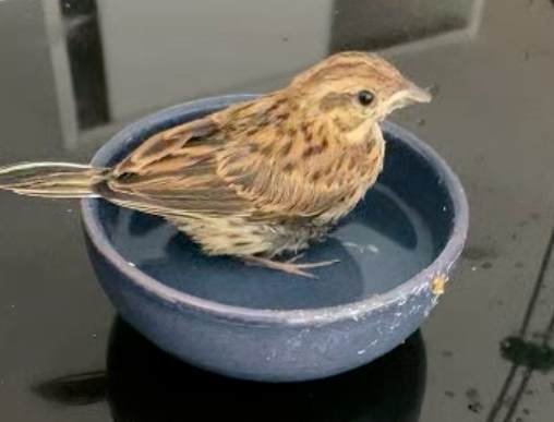 Capture d’écran 2024-08-22 à 15-compressed.jpg