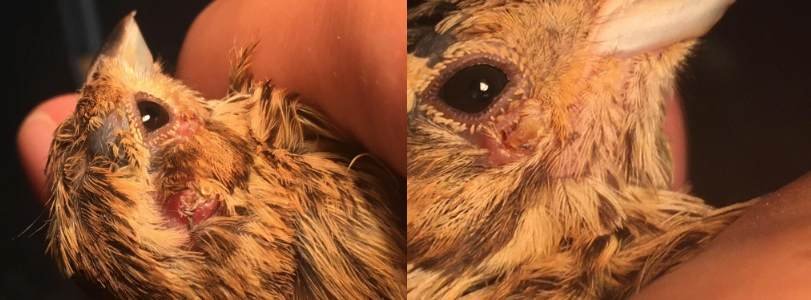 Capture d’écran 2024-08-22 à 17-compressed.jpg