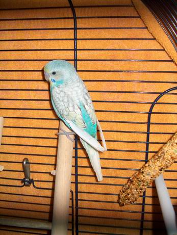 Resize of 03-06-04-0002.jpg