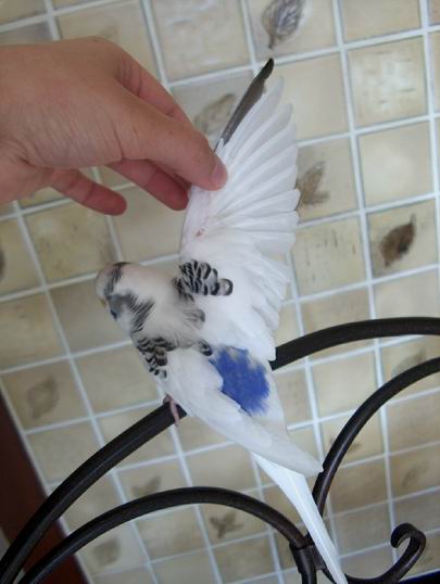 Resize of 11-06-040034.jpg