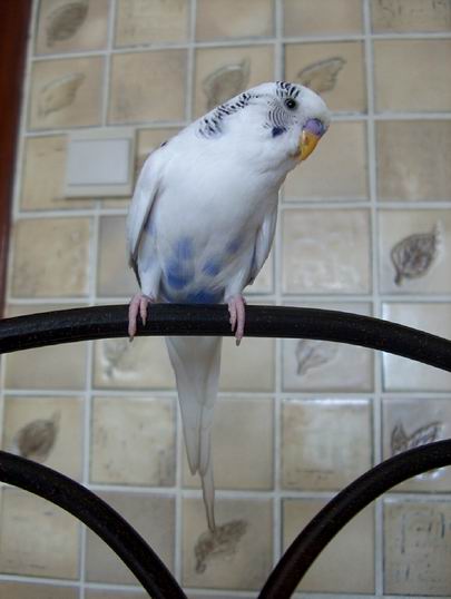 Resize of 11-06-040030.jpg