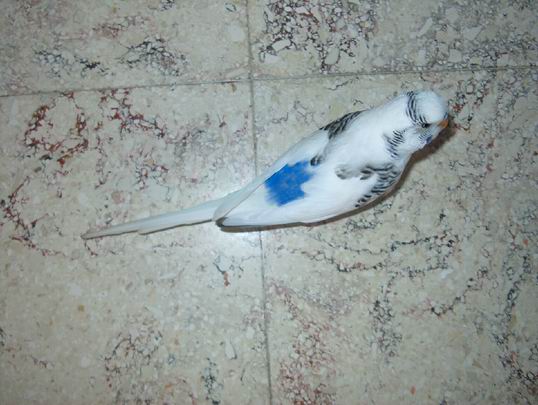 Resize of 11-06-040025.jpg