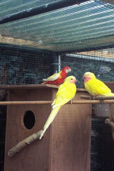 Resize of 31-08-20030022.jpg