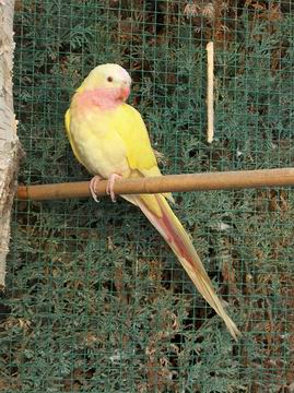 Resize of 01-02-04-20009.jpg