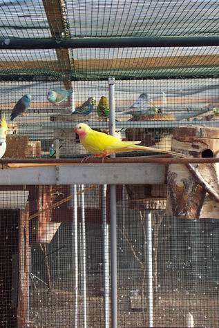 Resize of 01-02-040003.jpg