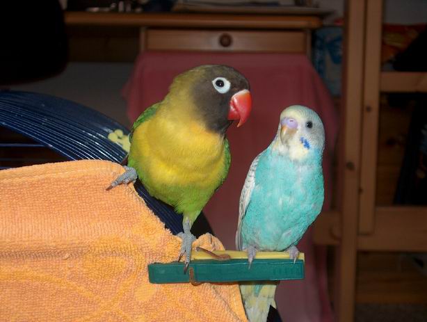 Resize of 11-06-040007.jpg