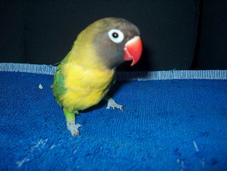 Resize of 19-06-04-10002.jpg