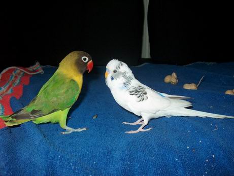 Resize of 18-06-04-10016.jpg