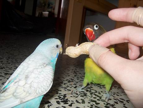 Resize of 19-06-04-10011.jpg