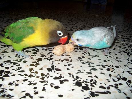 Resize of 19-06-04-10015.jpg