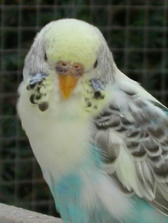 Resize of 2004-06-19_0083.JPG