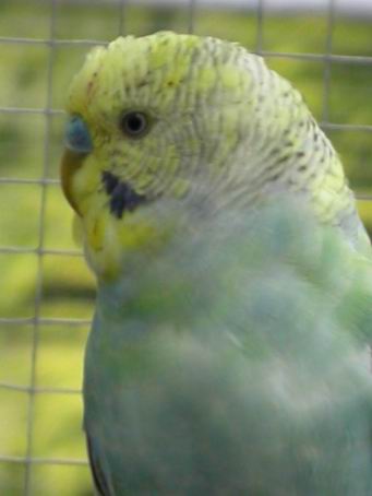 Resize of 2004-06-19_0082.JPG