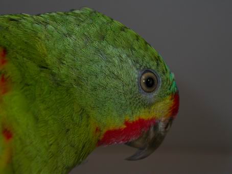 Resize of 2004-06-19_0215.JPG