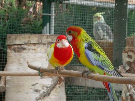 Resize of 2004-06-20_0035.JPG