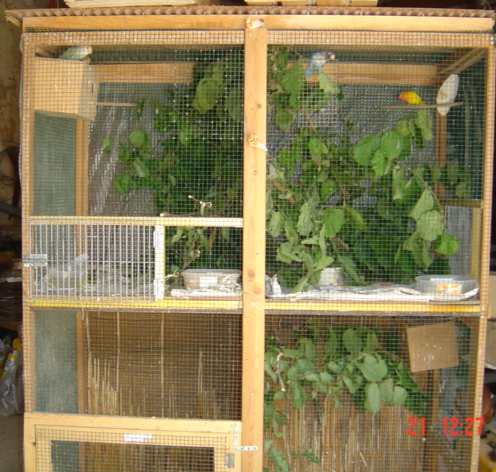 voliÃ¨re 4 comp  arbre.jpg