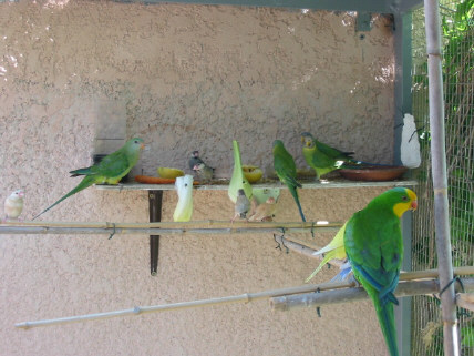 TP+ Barraband + Padda .JPG