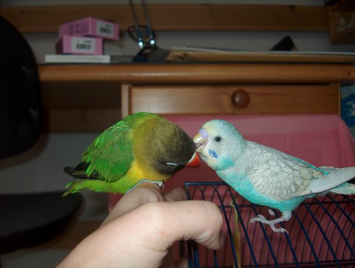 Resize of Mes photos0028.jpg