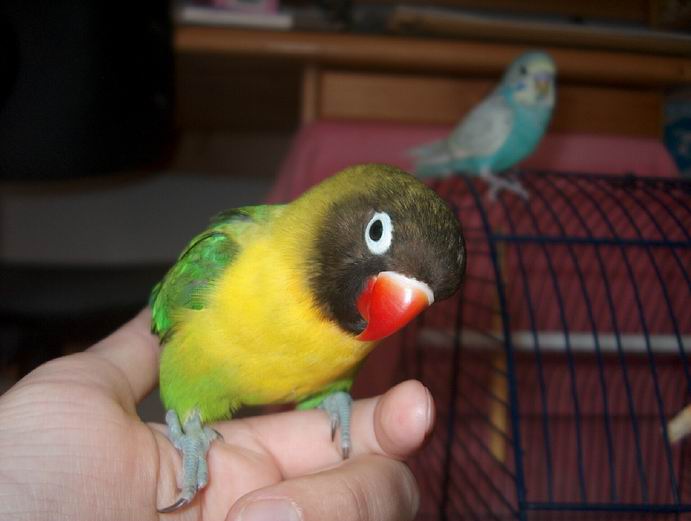 Resize of Mes photos0026.jpg