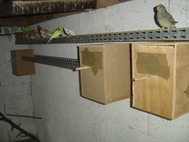 installatÂ° rail.jpg