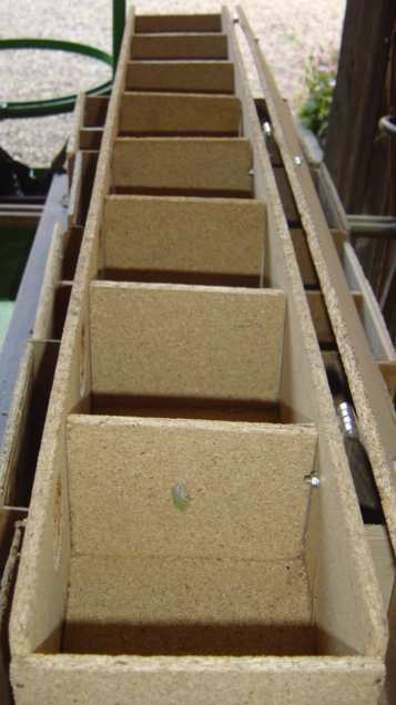 dedans boites perruche.jpg