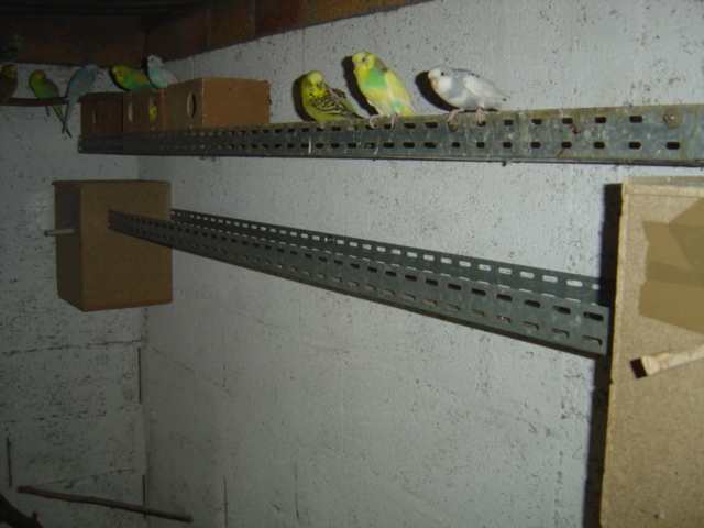 rail installÃ©.jpg