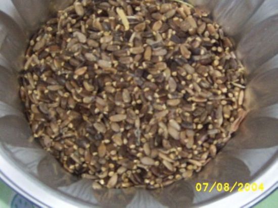 Chardon Marie 001.jpg