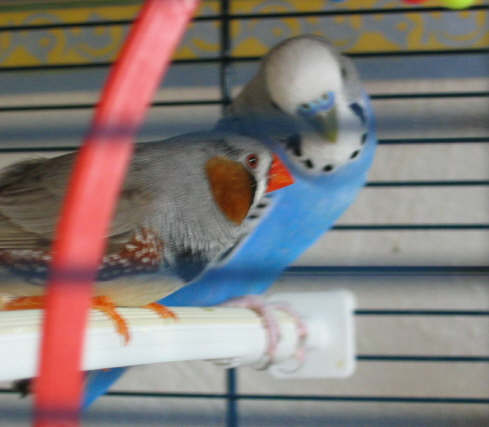 t'as de beaux yeux, tu sais !!.jpg