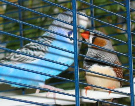 vous venez souvent par ici_5_1_1.jpg