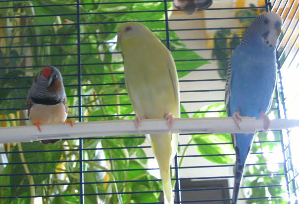 une belle brochette_4_1_1.jpg