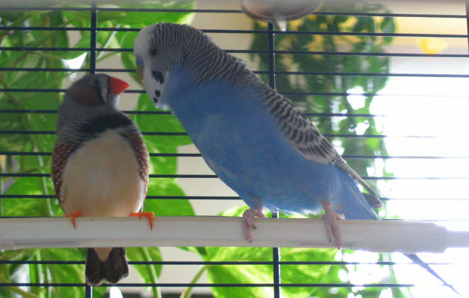 un dernier bisou_3_1_1.jpg