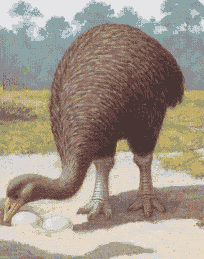 aepyornis.gif