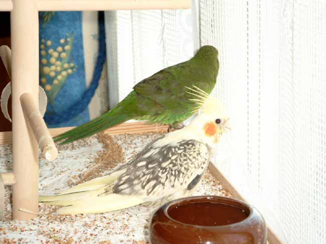 c'est intÃ©ressant dehors ! 1.JPG