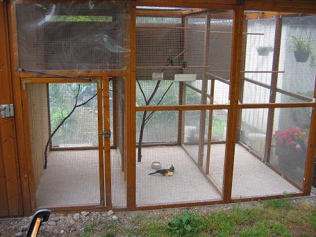 VoliÃ¨re propre.jpg