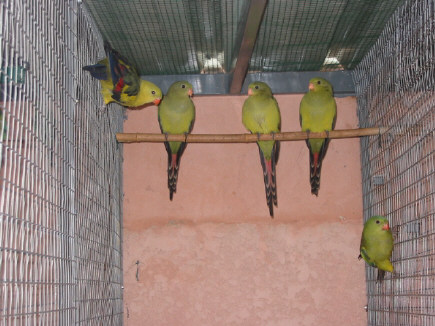 16 juillet 04 jeunes + parents .JPG