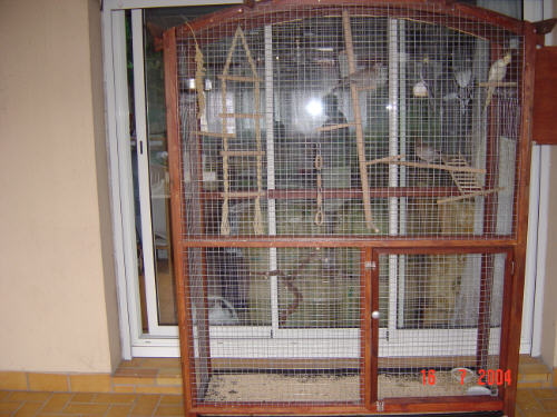 nouvelles volieres.jpg