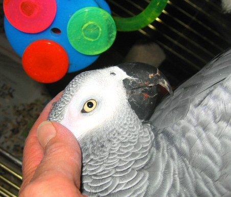 tendre moment quatre.jpg