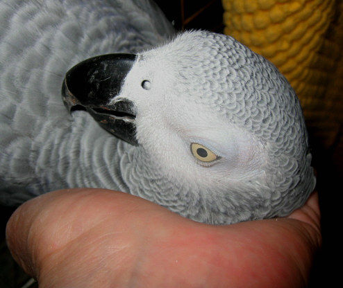 tendre moment six.jpg