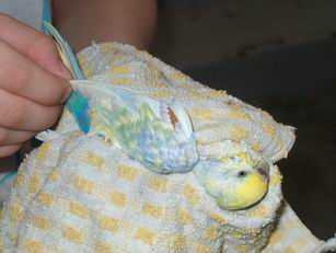 Resize of 18-07-040004.jpg