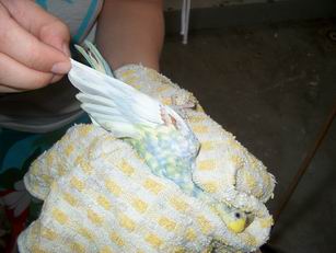 Resize of 18-07-040002.jpg