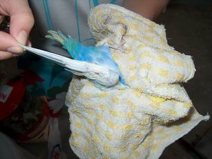 Resize of 18-07-040001.jpg