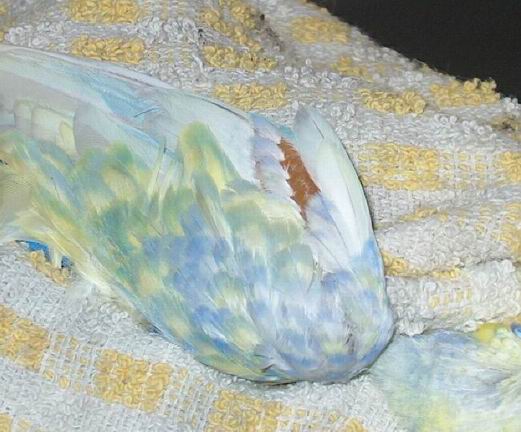 Resize of 18-07-040004'.jpg