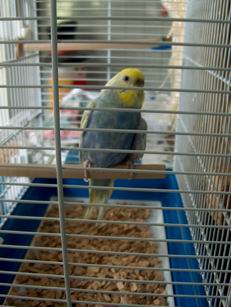 Resize of 18-07-040013.jpg