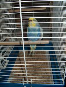 Resize of 18-07-040011.jpg