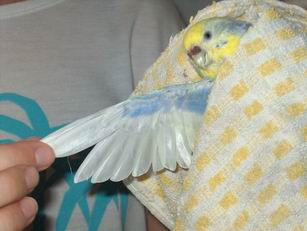 Resize of 18-07-040010.jpg