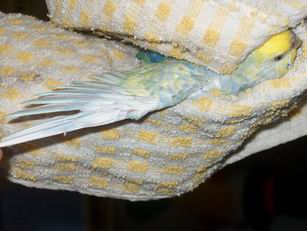 Resize of 18-07-040009.jpg