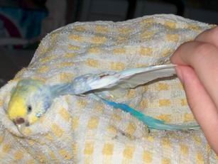 Resize of 18-07-040008.jpg