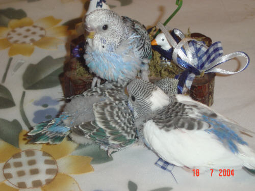 trois mousquetaires.jpg