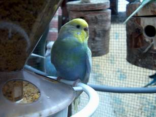 Resize of 22-02-040004.jpg