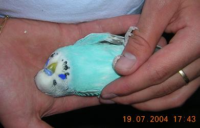 gros twix sur le dos.JPG