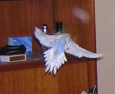 bÃ©bÃ© perlÃ© EAM.JPG